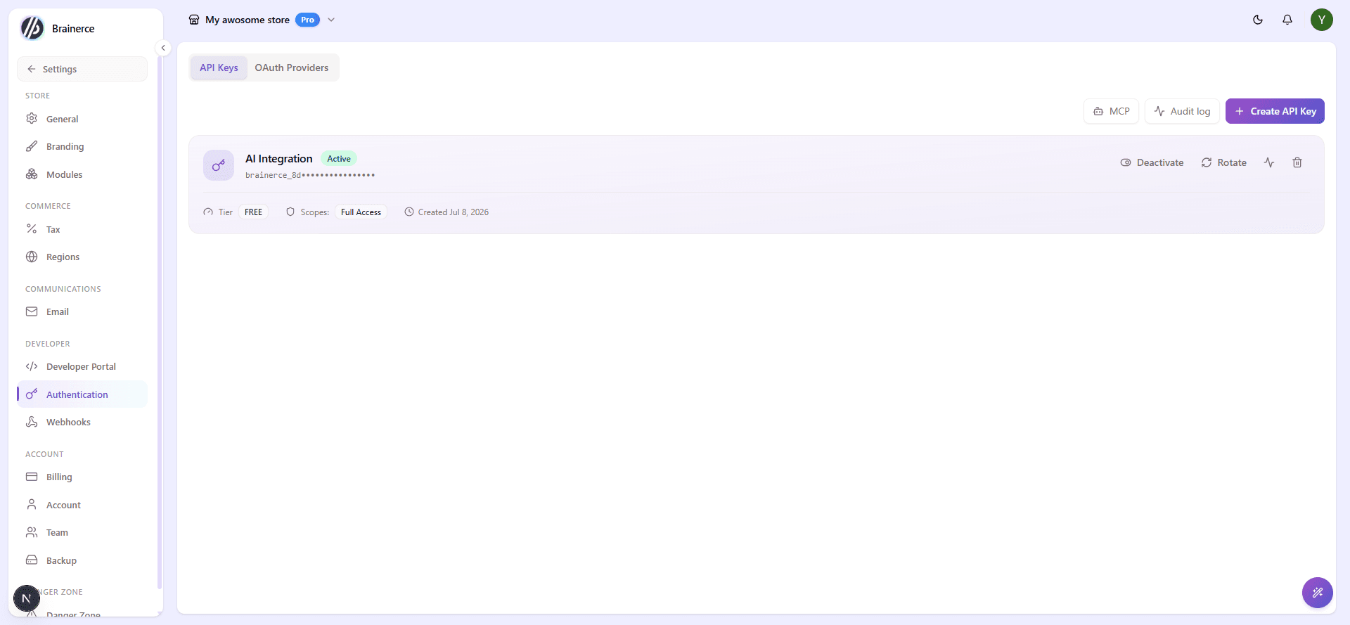 Settings → Authentication, showing the MCP, Audit log, and Create API Key buttons above an existing API key